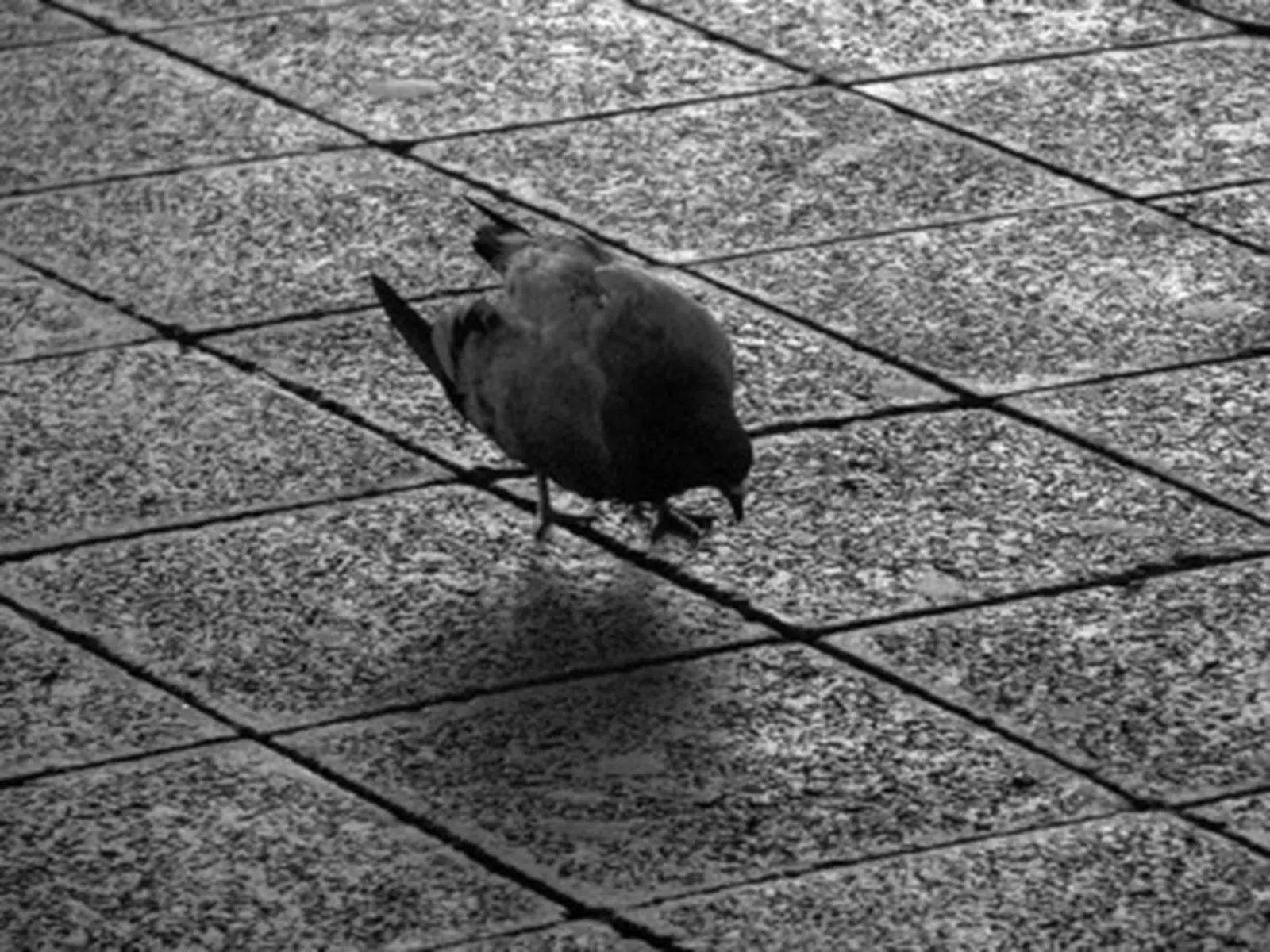 Achieving a Natural Edge on Slate Tiles
