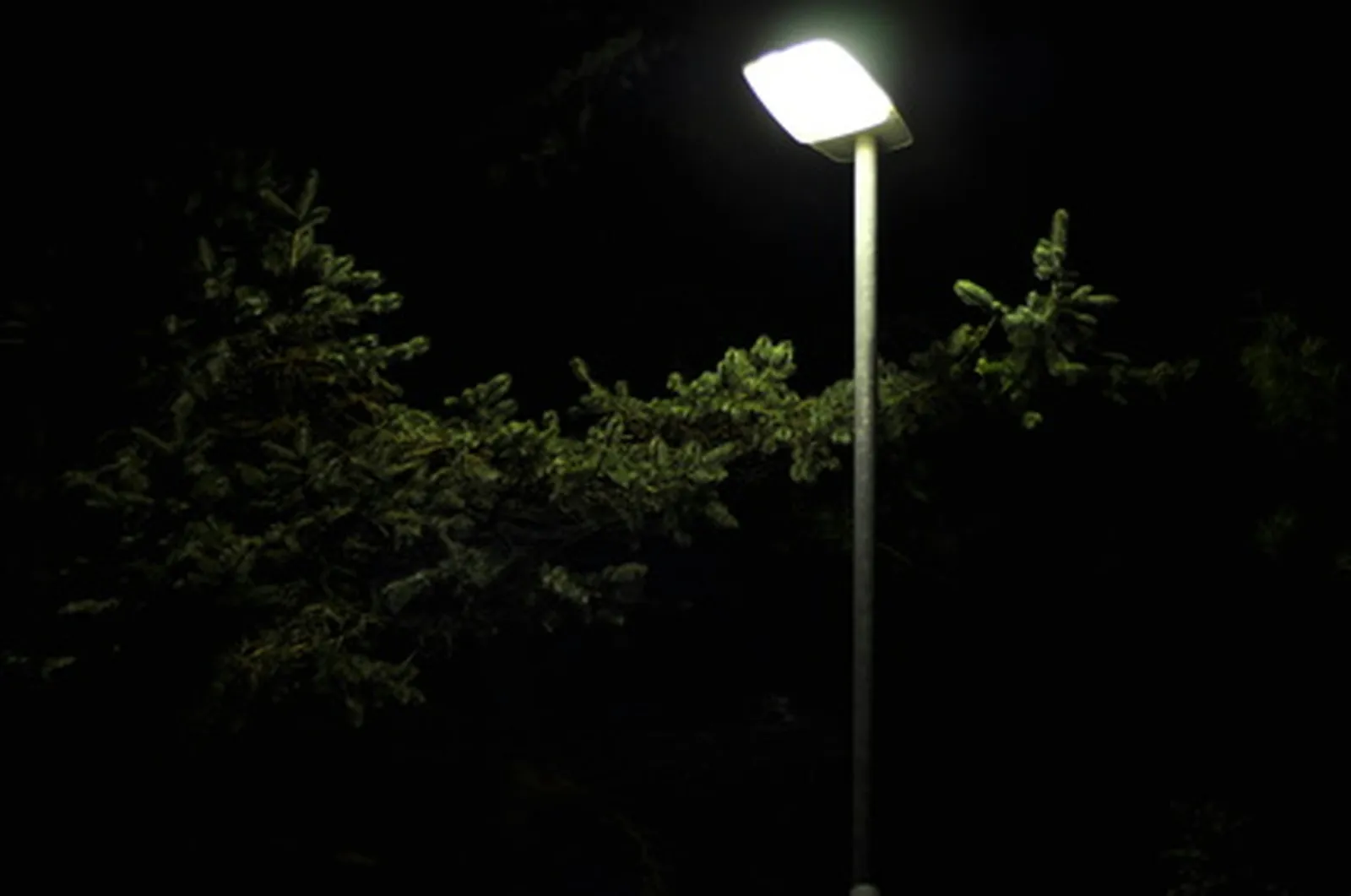 Breaking Down Street Light Hardware: From Poles to Lenses