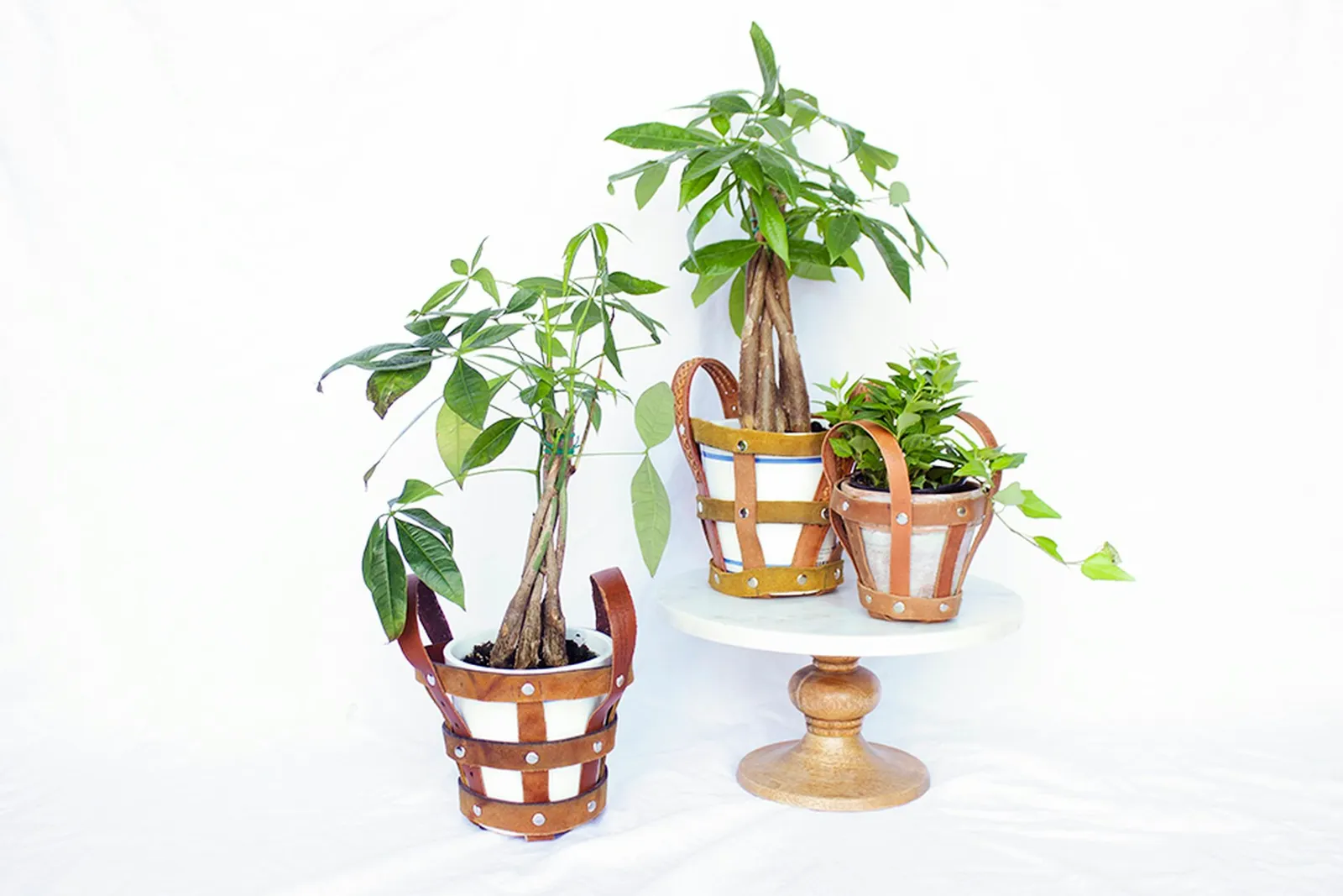 Leather belt plant holders