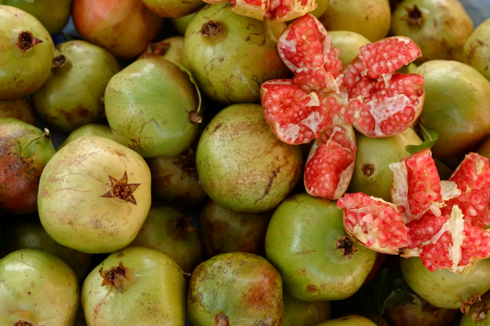 Tropical fruit