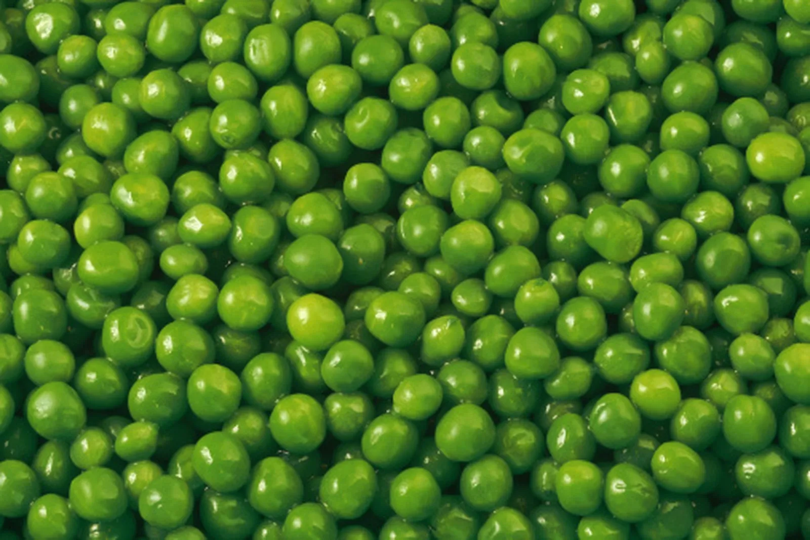 A dish of steamed garden peas