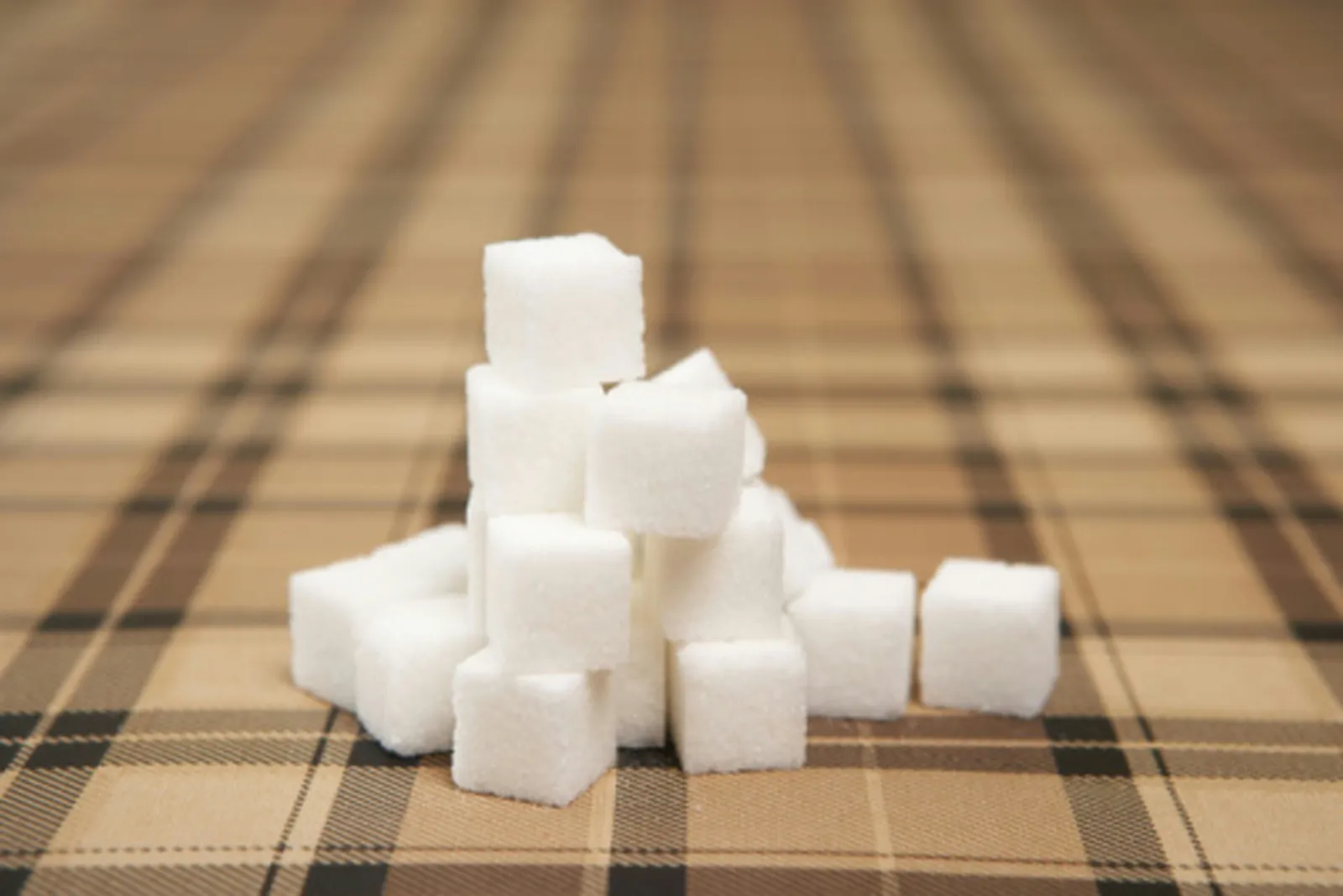 A Step-by-Step Guide to Crafting a Sugar Cube Igloo for Educational Displays