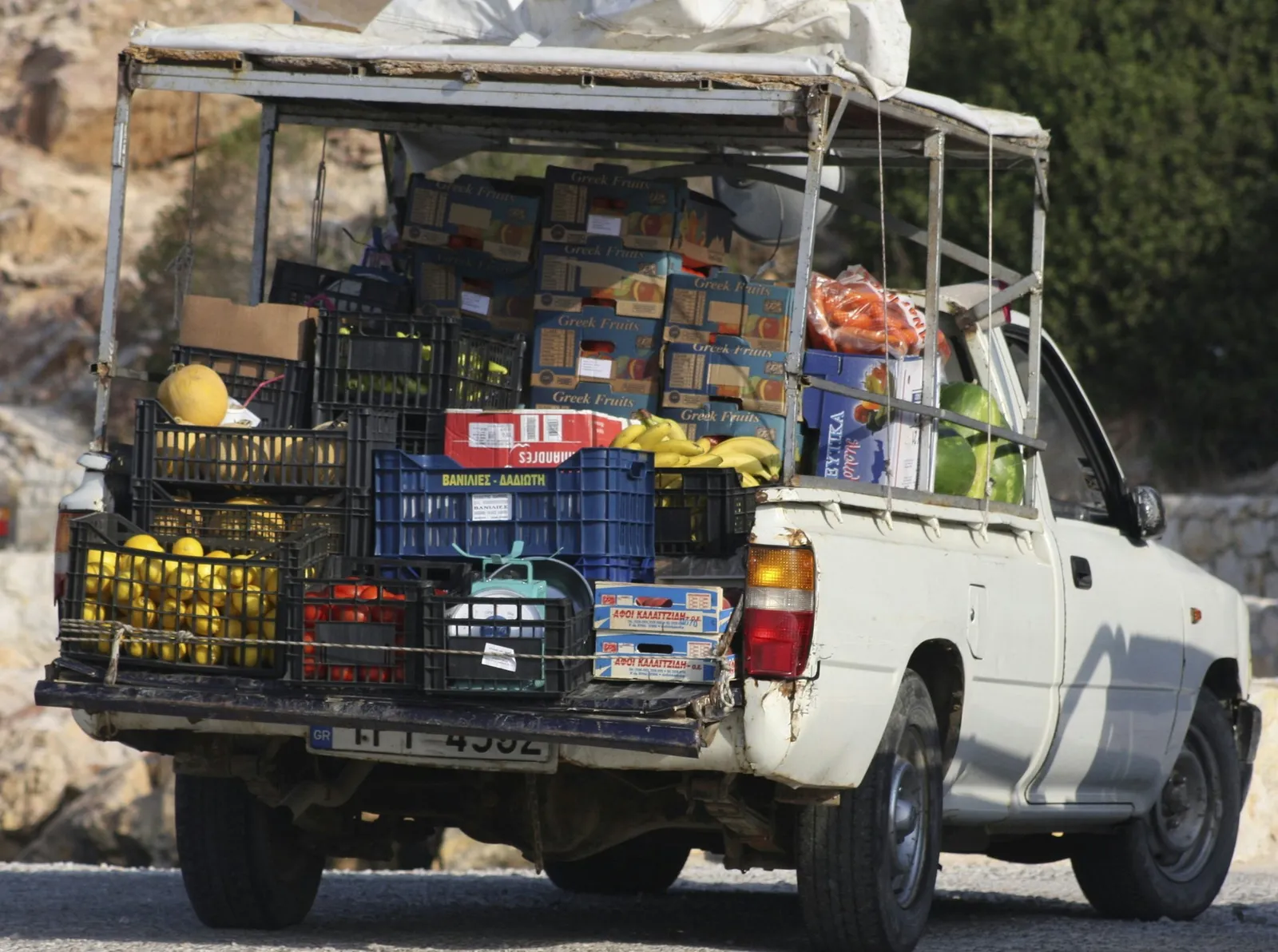 Fruit Delivery