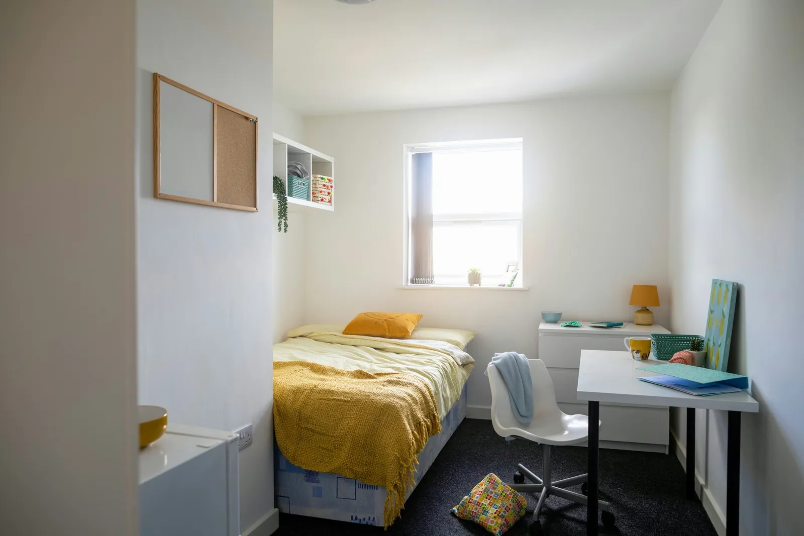 University Bedroom