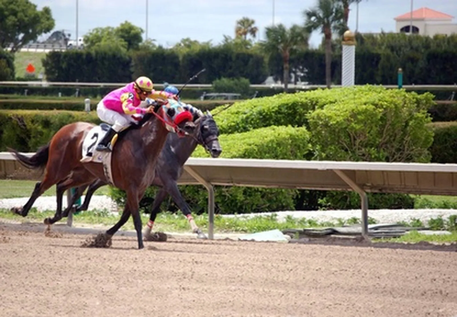 Ways to Set Up Betting Boards for a Kentucky Derby Gathering