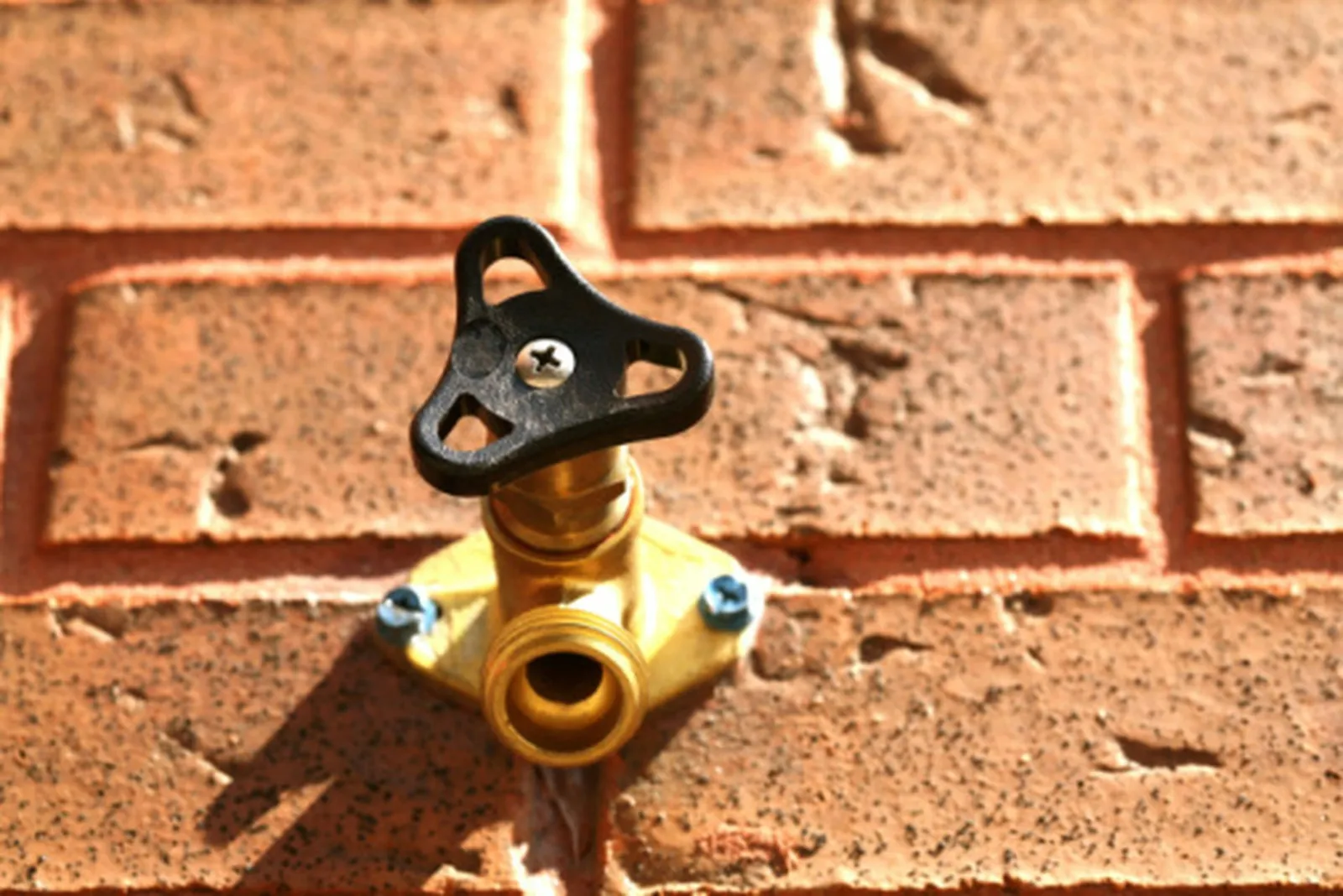 A Step-by-Step Guide to Putting in an Outdoor Wall Faucet