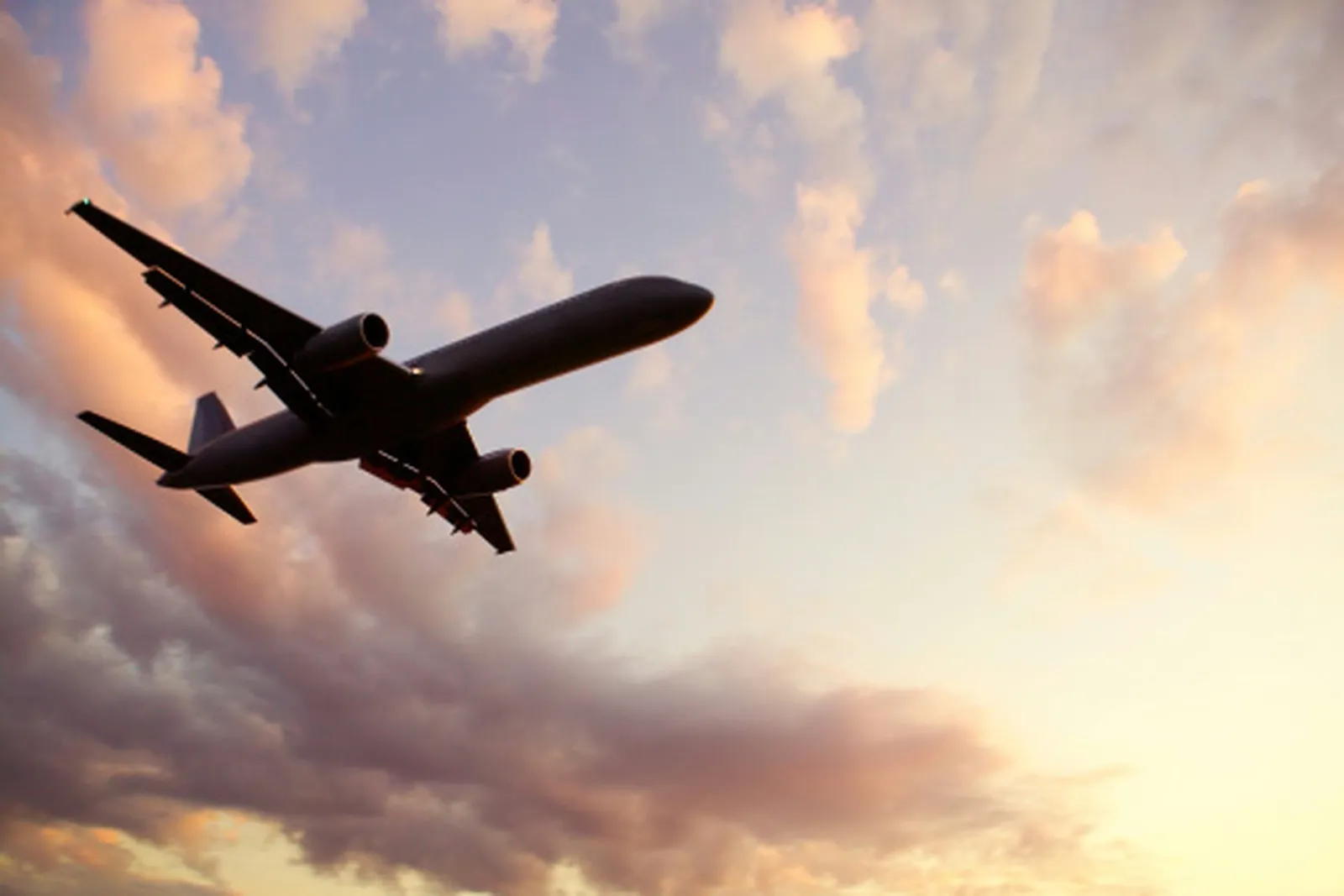 Using Global Distribution Systems to Verify Flight Bookings Online
