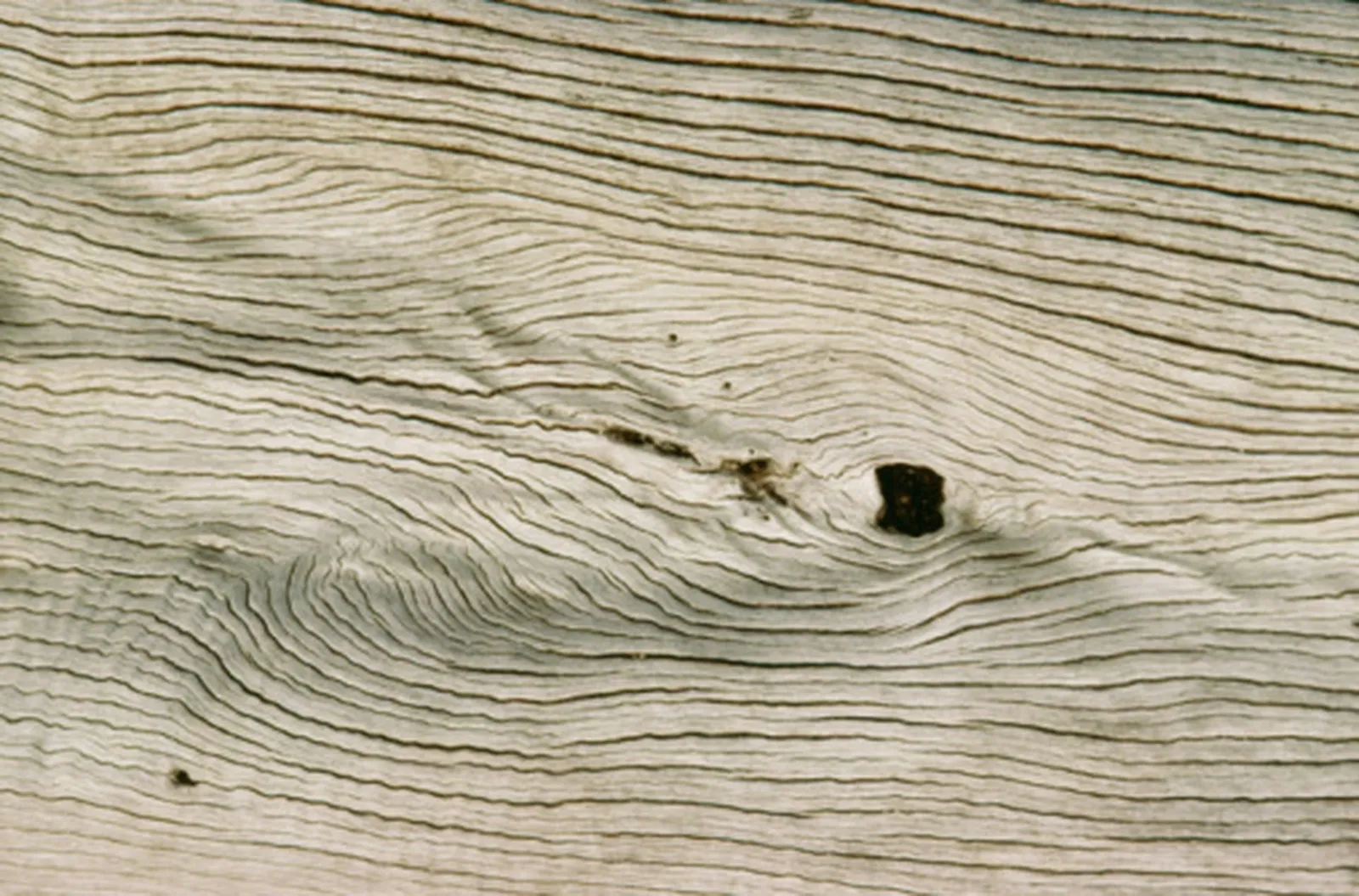 A Step-by-Step Guide to Transforming Driftwood into Carved Art