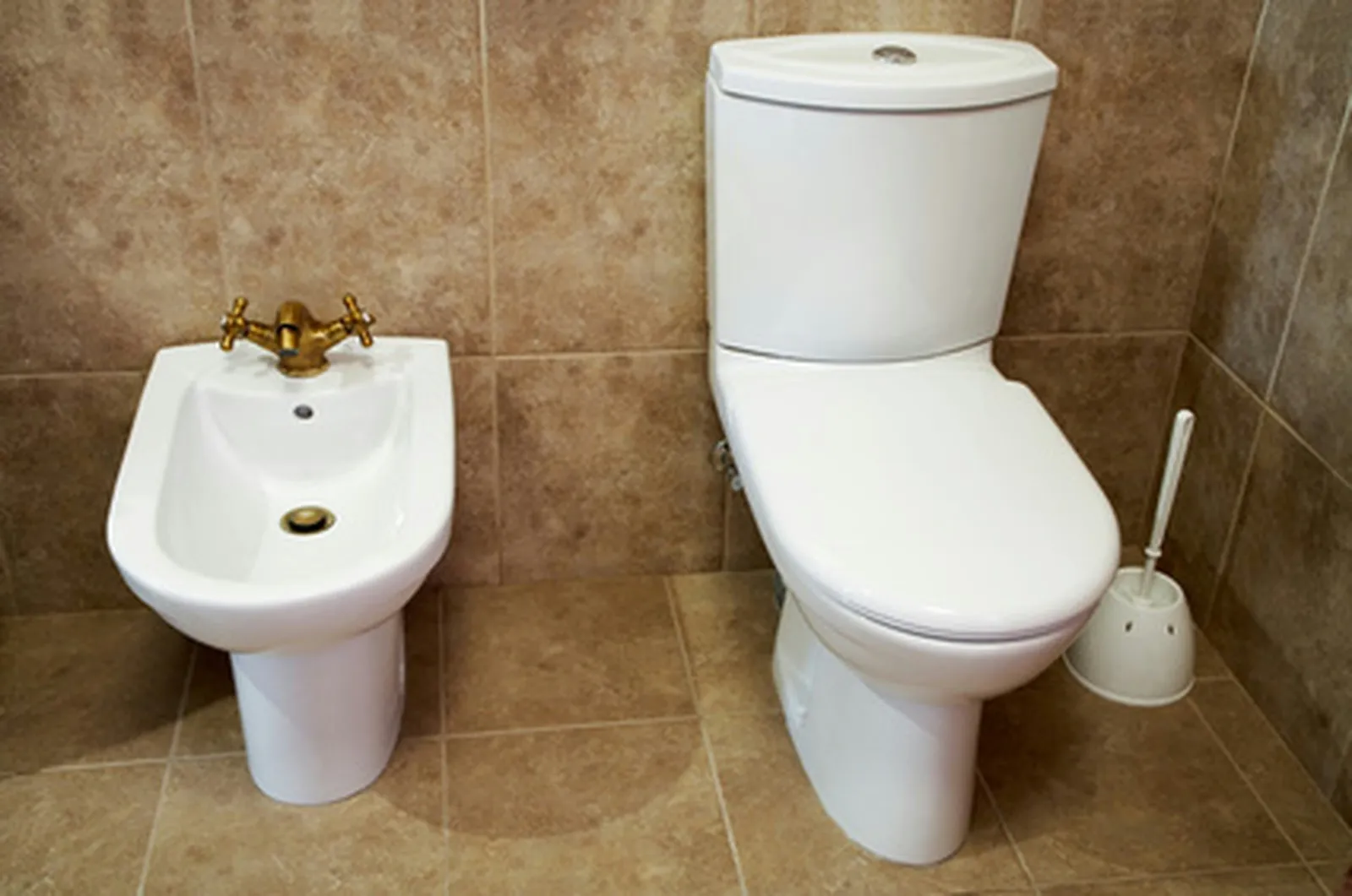 A DIY Method for Eliminating Stubborn Toilet Bowl Stains and Scratches
