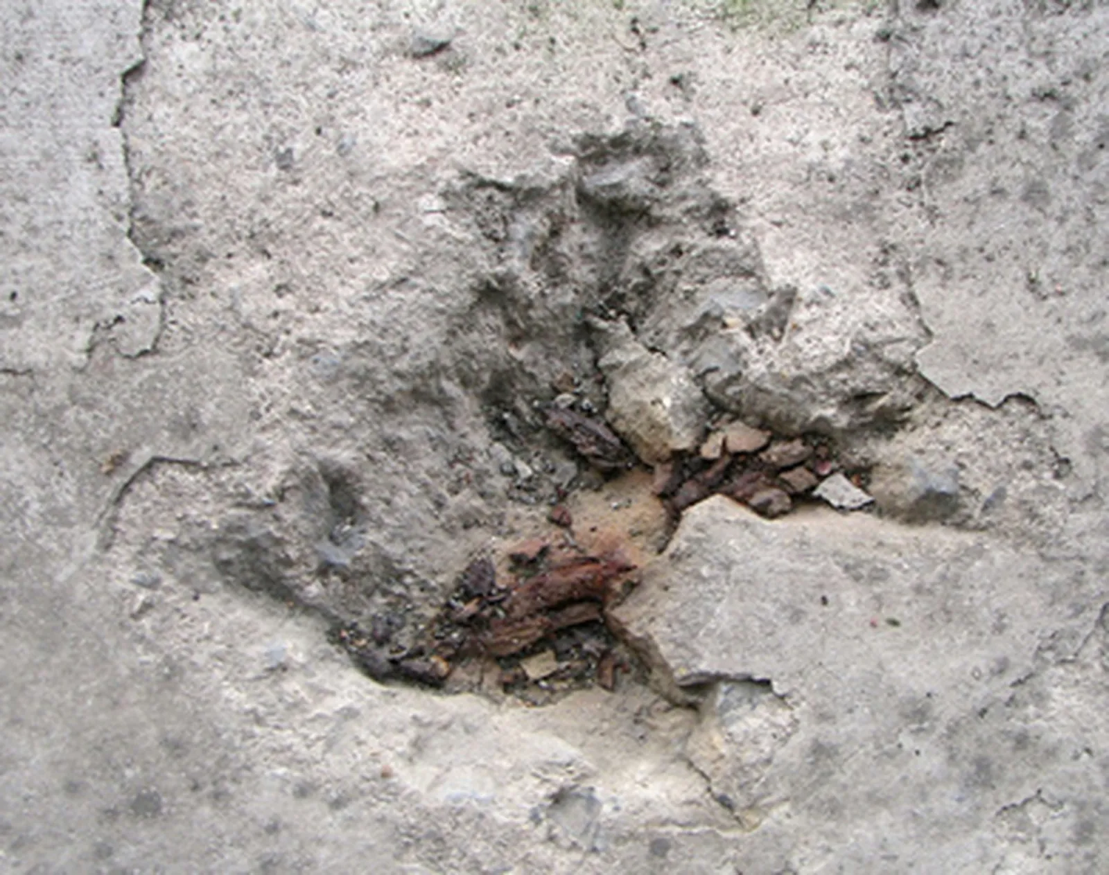 Reviving Worn Concrete Surfaces Without Full Replacement