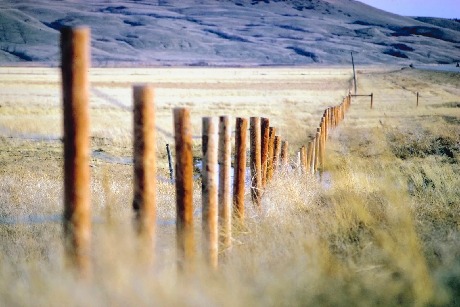 Guide to Installing a Staggered Rail Fence