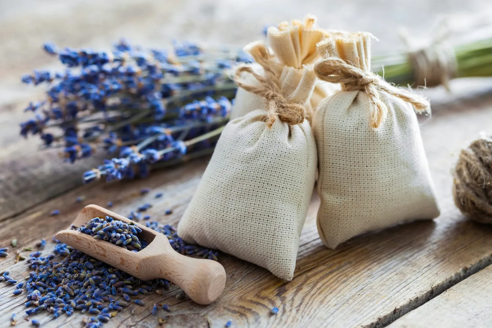 Bunch of lavender flowers and sachets.