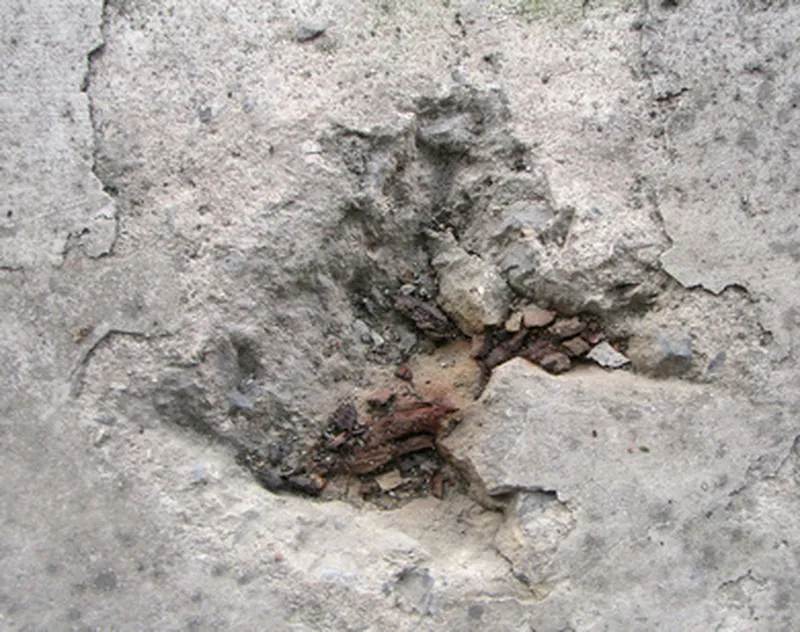 Reviving Worn Concrete Surfaces Without Full Replacement