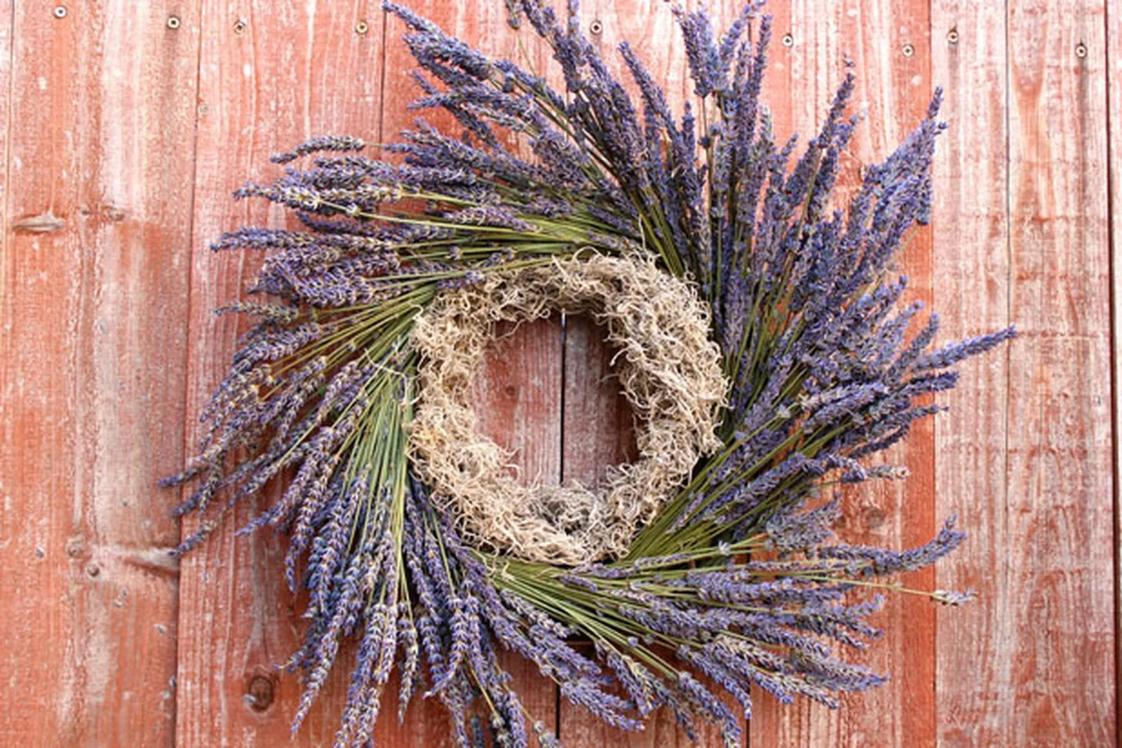 Crafting a Fragrant Lavender Wreath: A Step-by-Step Guide