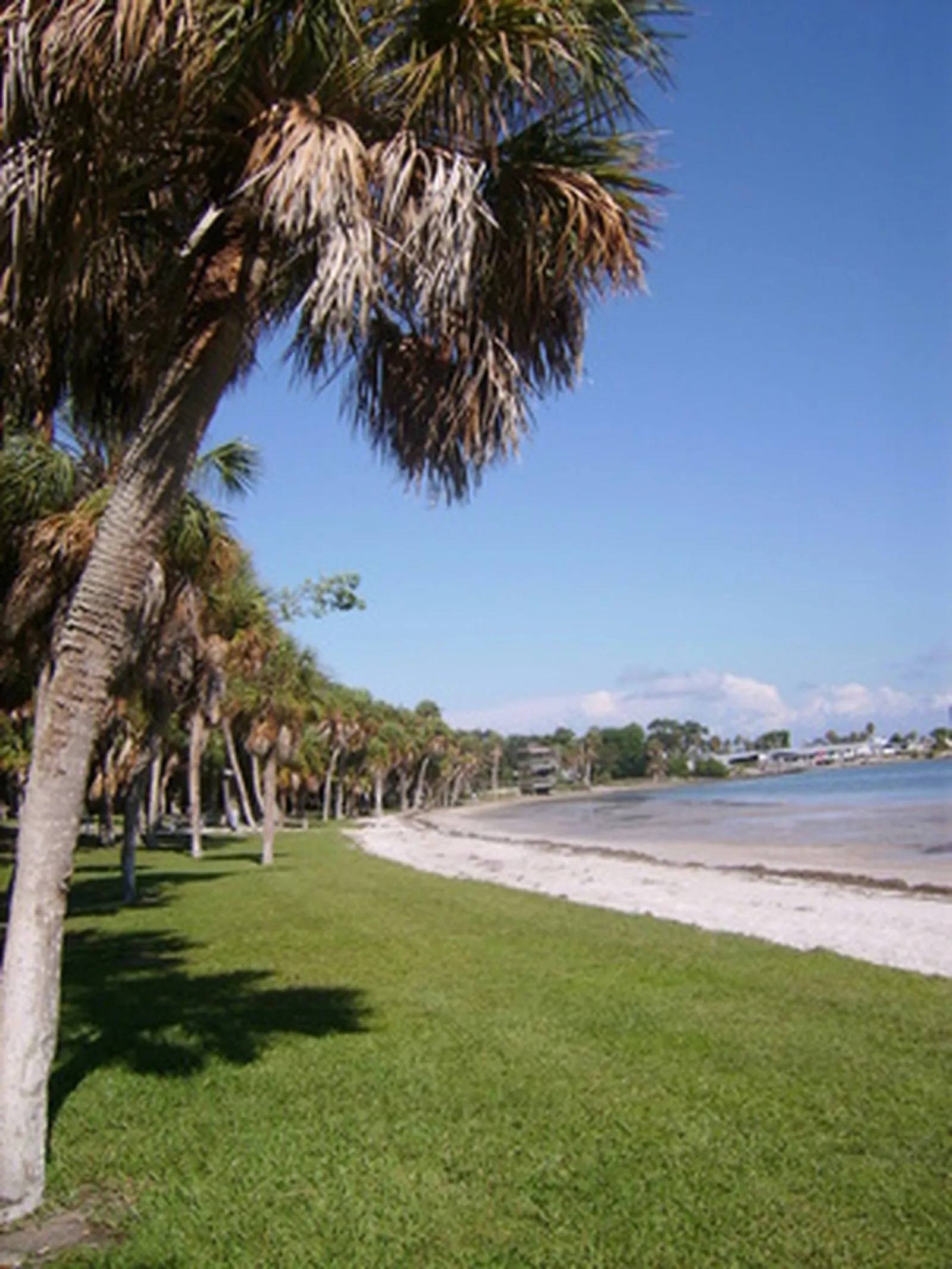 St. Augustine Grass Fertilization Timing Across Florida Regions