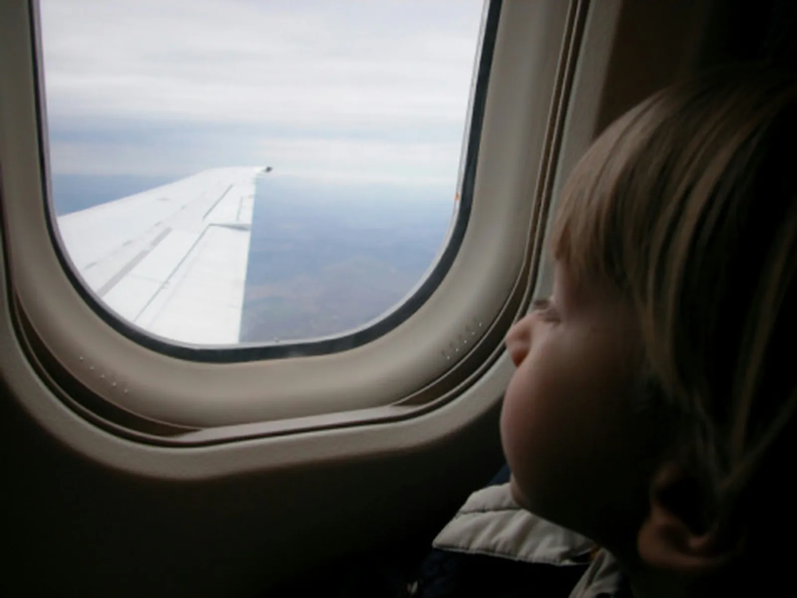 Ways to Determine Your Assigned Seat on an Aircraft