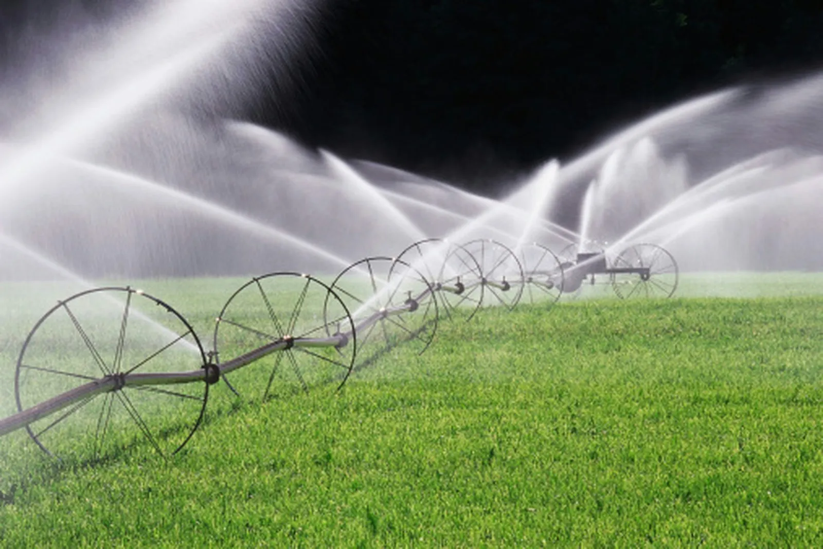 Extending Sprinkler Heads with Riser Fittings: A Step-by-Step Guide