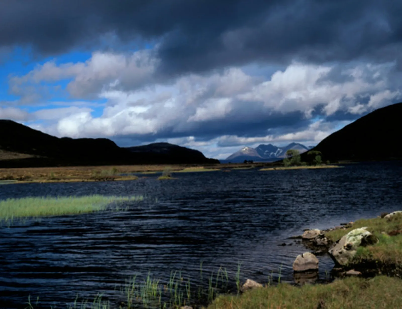 Scotland's Heather Moorlands: A Semi-Natural Landscape